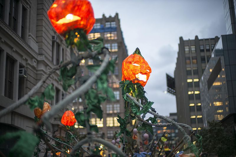 NYC - The Purposely Lost